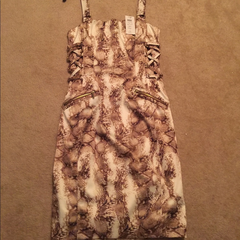 NWT Snakeskin Cache Dress